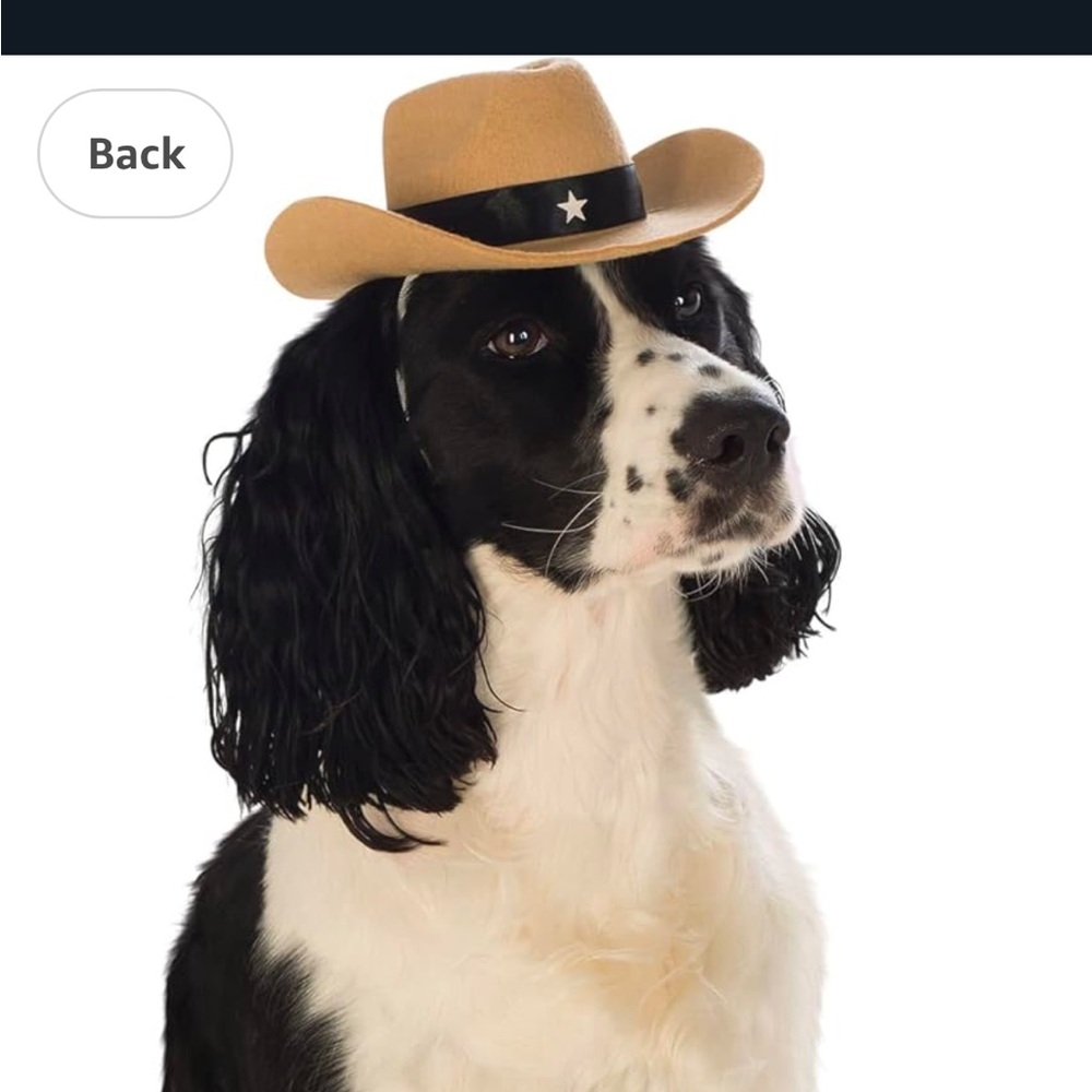 Cowboy Hat for Pet